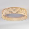 Barroco lampa sufitowa LED kolory naturalne, biały, 1-punktowy, Zdalne sterowanie