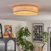 Barroco lampa sufitowa LED kolory naturalne, biały, 1-punktowy, Zdalne sterowanie