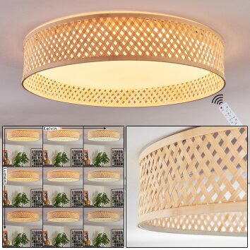 Barroco lampa sufitowa LED kolory naturalne, biały, 1-punktowy, Zdalne sterowanie