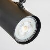 Gesteira lampa sufitowa, spot sufitowy kolory naturalne, czarny, 4-punktowe