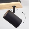 Gesteira lampa sufitowa, spot sufitowy kolory naturalne, czarny, 4-punktowe