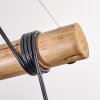 Ripoll lampa wisząca, kula świetlna, lampa wisząca kolory naturalne, czarny, 5-punktowe