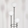 Gastor Lampa stojąca 30 cm Jasne drewno, Czarny, 3-punktowe