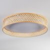 Barroco lampa sufitowa LED kolory naturalne, biały, 1-punktowy