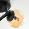 Chehalis Lampa sufitowa, Kula świetlna W kolorze bursztynu, 3-punktowe