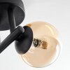 Chehalis lampa sufitowa, kula świetlna bursztynowy, przezroczysty, 3-punktowe