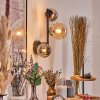 Chehalis Kula świetlna, Lampa ścienna 23 cm W kolorze bursztynu, Przydymiony, 3-punktowe
