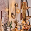 Chehalis Kula świetlna, Lampa ścienna 23 cm W kolorze bursztynu, Przydymiony, 3-punktowe
