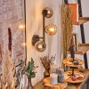 Chehalis Kula świetlna, Lampa ścienna 23 cm W kolorze bursztynu, Przydymiony, 3-punktowe