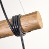 Ripoll lampa wisząca, kula świetlna, lampa wisząca kolory naturalne, czarny, 3-punktowe