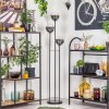 Gastor Lampa stojąca Czarny, 3-punktowe