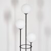 Gastor Lampa stojąca Czarny, 3-punktowe