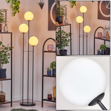 Gastor Lampa stojąca Czarny, 3-punktowe