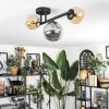 Chehalis Lampa sufitowa, Kula świetlna 23 cm W kolorze bursztynu, Przydymiony, 3-punktowe