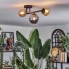 Chehalis Lampa sufitowa, Kula świetlna 23 cm W kolorze bursztynu, Przydymiony, 3-punktowe
