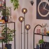 Gastor Lampa stojąca Czarny, 3-punktowe