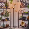 Gastor Lampa stojąca 25 cm Czarny, 3-punktowe