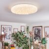 Dacen Lampa sufitowa LED Biały, 1-punktowy, Zdalne sterowanie