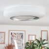 Dayen Lampa sufitowa LED Srebrny, Biały, 1-punktowy, Zdalne sterowanie