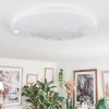 Junor Lampa sufitowa LED Biały, 1-punktowy, Zdalne sterowanie