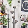 Gastor Lampa stojąca Ciemne drewno, Czarny, 4-punktowe