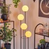 Gastor Lampa stojąca Ciemne drewno, Czarny, 4-punktowe
