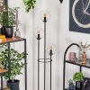 Gastor Lampa stojąca 30 cm Czarny, 3-punktowe