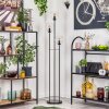 Gastor Lampa stojąca 30 cm Czarny, 3-punktowe