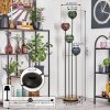 Koyoto Lampa stojąca Ciemne drewno, Czarny, 4-punktowe