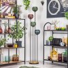 Koyoto Lampa stojąca Ciemne drewno, Czarny, 4-punktowe