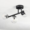 Chehalis Lampa sufitowa, Kula świetlna Przezroczysty, 3-punktowe