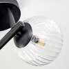 Chehalis Lampa sufitowa, Kula świetlna Przezroczysty, 3-punktowe