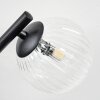 Chehalis Lampa sufitowa, Kula świetlna Przezroczysty, 3-punktowe