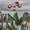 Chehalis Lampa sufitowa, Kula świetlna Przydymiony, 3-punktowe