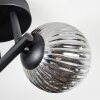 Chehalis Lampa sufitowa, Kula świetlna Przydymiony, 3-punktowe