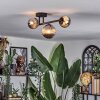Chehalis Lampa sufitowa, Kula świetlna Przydymiony, 3-punktowe
