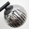Chehalis Lampa sufitowa, Kula świetlna Przydymiony, 3-punktowe