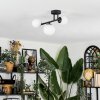 Chehalis Lampa sufitowa, Kula świetlna Biały, 3-punktowe