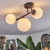 Chehalis lampa sufitowa, kula świetlna biały, 3-punktowe