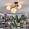Chehalis lampa sufitowa, kula świetlna biały, 3-punktowe