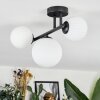 Chehalis lampa sufitowa, kula świetlna biały, 3-punktowe
