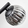 Chehalis Lampa sufitowa, Kula świetlna Przydymiony, 3-punktowe