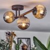 Chehalis Lampa sufitowa, Kula świetlna Przydymiony, 3-punktowe