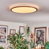 Nogueria Lampa sufitowa, Panel LED Biały, 1-punktowy, Zdalne sterowanie