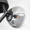Chehalis Lampa sufitowa, Kula świetlna Przezroczysty, Przydymiony, 3-punktowe