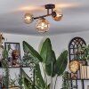 Chehalis lampa sufitowa, kula świetlna bursztynowy, przezroczysty, 3-punktowe