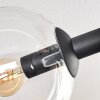 Gastor Lampa sufitowa, Kula świetlna W kolorze bursztynu, Przezroczysty, Przydymiony, 6-punktowe