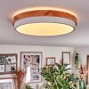 Hiral lampa sufitowa, panel LED kolory naturalne, biały, 1-punktowy