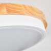 Hiral lampa sufitowa, panel LED kolory naturalne, biały, 1-punktowy