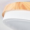 Hiral lampa sufitowa, panel LED kolory naturalne, biały, 1-punktowy